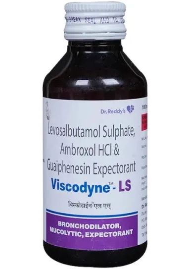Viscodyne LS syrup 100ml