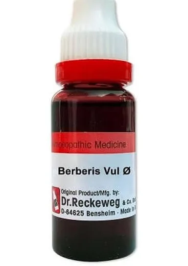 BERBERIS 20ML