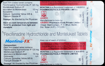 Montina FX Tablet 10's