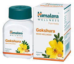 Himalaya Men's Wellness Gokshura 60 Tablets